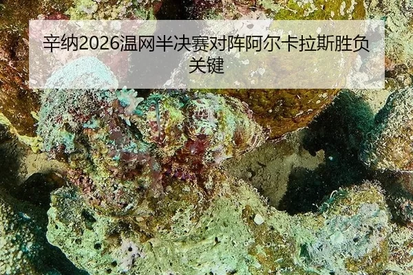 xin-na-wen-wang-ban-jue-sai-dui-zhen-a-er-ka-la-si-sheng-fu-guan-jian-2-309.jpg